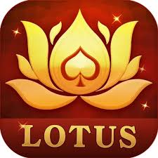 lucky rummy plus download